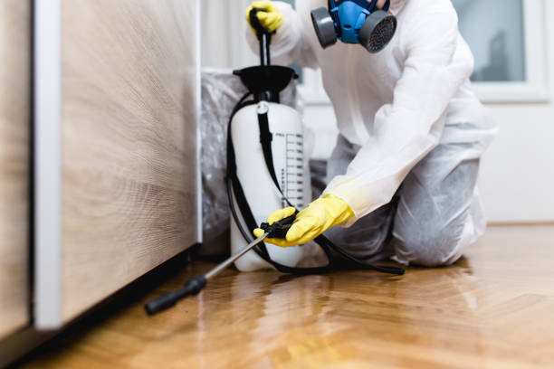 Best Residential Pest Control  in Nokomis, FL