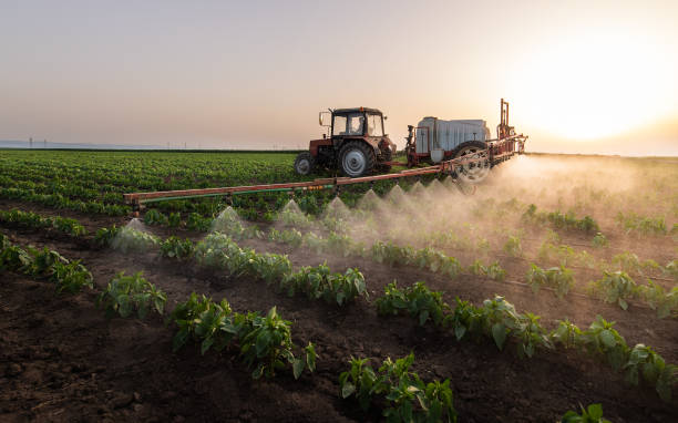 Pest Control Cost in Nokomis, FL