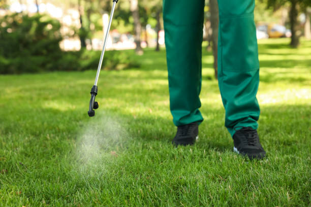 Best Termite Control Services  in Nokomis, FL