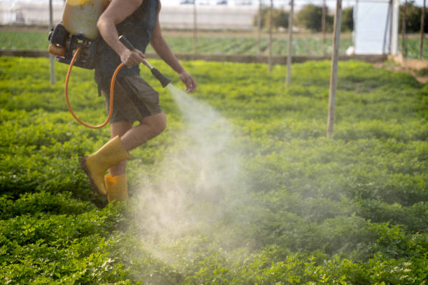 Best Pest Removal Services  in Nokomis, FL