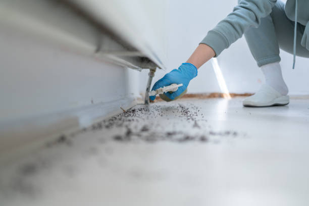 Best Best Pest Control Companies  in Nokomis, FL