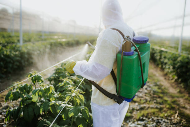 Best Pest Prevention Services  in Nokomis, FL